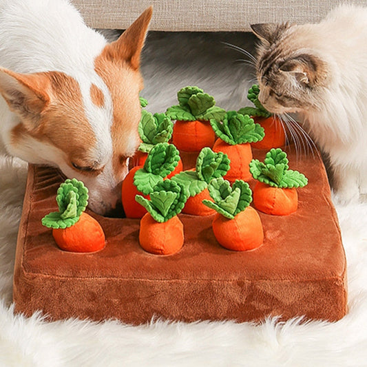 Peter Rabbit Garden of Carrots Dog Interactive Toy