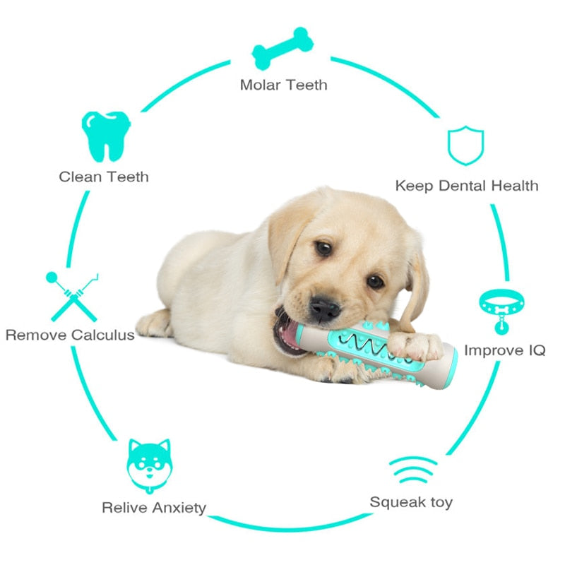 Chomping Block Dog Teeth Cleaning Toy