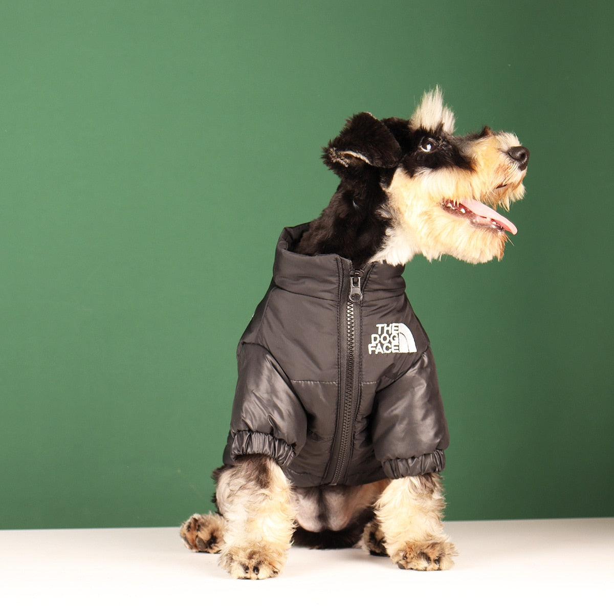 The Dog Face Designer Pup Jacket