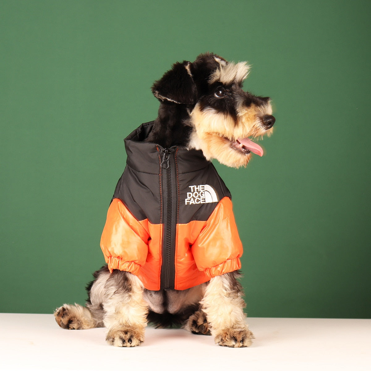 The Dog Face Designer Pup Jacket