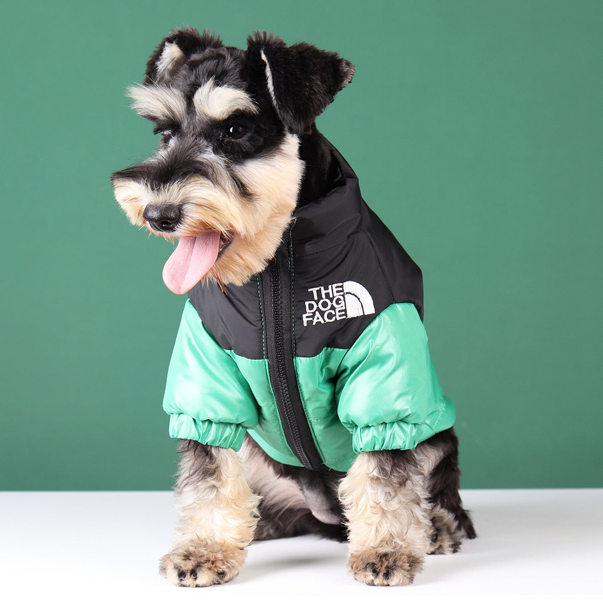 The Dog Face Designer Pup Jacket