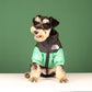 The Dog Face Designer Pup Jacket