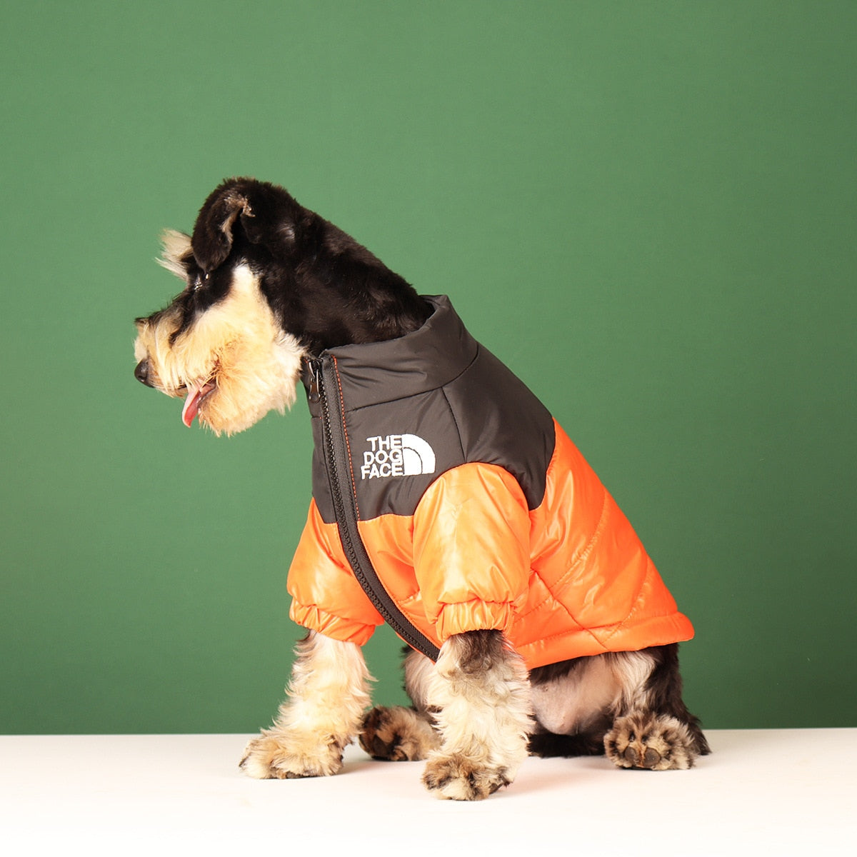 The Dog Face Designer Pup Jacket