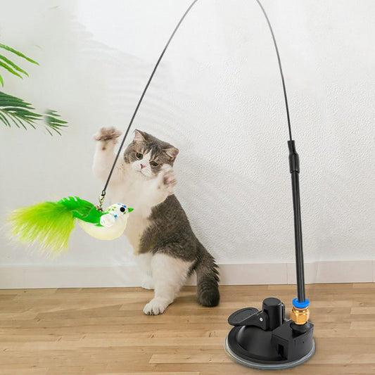 Canary Runner Cat Interactive Toy