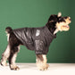 The Dog Face Designer Pup Jacket