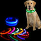 Bark Patrol Neon Light Up Collar