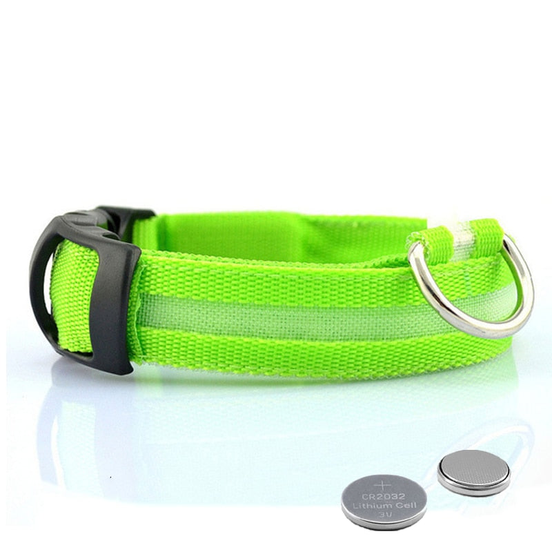 Bark Patrol Neon Light Up Collar