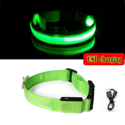 Bark Patrol Neon Light Up Collar