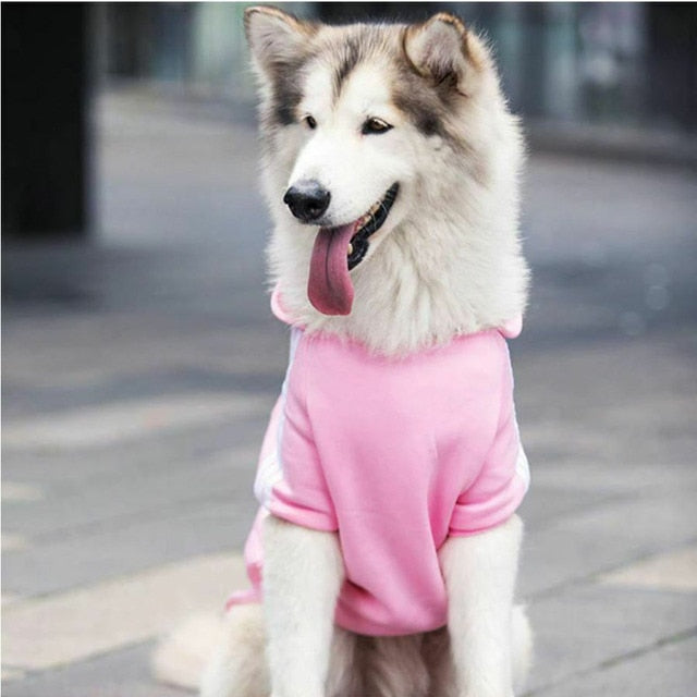 Adidog Pet Hoodie